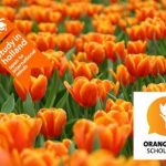 Beasiswa Belanda S1 & S2 Orange Tulip Scholarship 2022 – 2023 Belanda