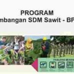 Beasiswa SDM Sawit Kuliah Gratis Diploma untuk Anak Petani